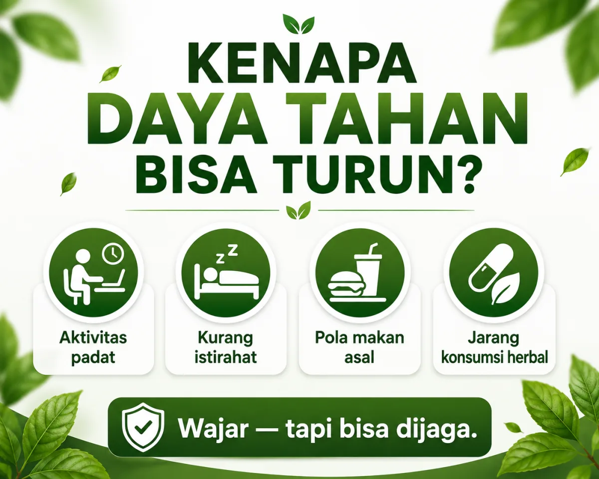 Kenapa daya tahan bisa turun? Aktivitas padat, kurang istirahat, pola makan asal, jarang konsumsi herbal. Wajar — tapi bisa dijaga
